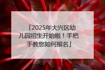 2025年大兴区幼儿园招生开始啦！手把手教您如何报名