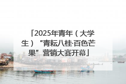 2025年青年（大学生）“青耘八桂·百色芒果”营销大赛开幕