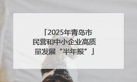 2025年青岛市民营和中小企业高质量发展“半年报”