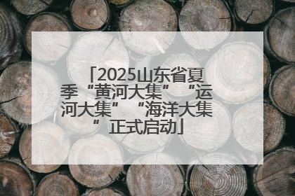 2025山东省夏季“黄河大集”“运河大集”“海洋大集”正式启动