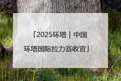 2025环塔｜中国环塔国际拉力赛收官