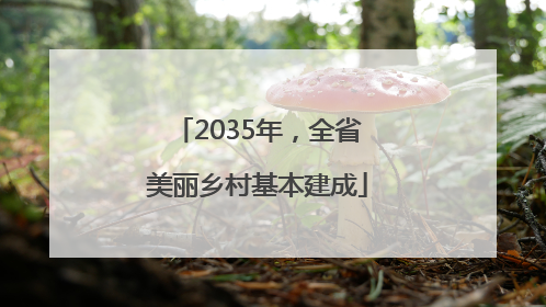 2035年，全省美丽乡村基本建成