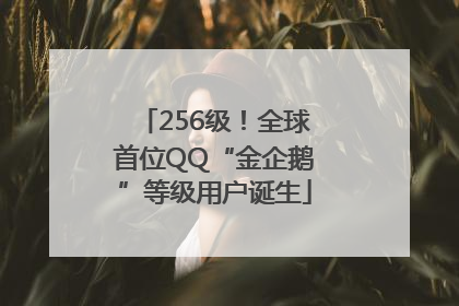 256级！全球首位QQ“金企鹅”等级用户诞生