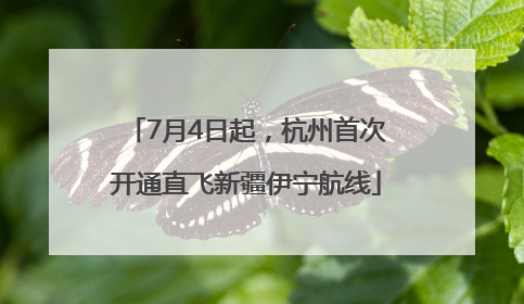 7月4日起，杭州首次开通直飞新疆伊宁航线