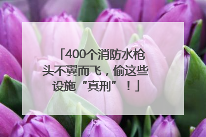 400个消防水枪头不翼而飞，偷这些设施“真刑”！