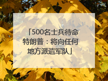 500名士兵待命 特朗普：将向任何地方派遣军队