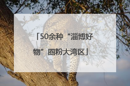 50余种“淄博好物”圈粉大湾区