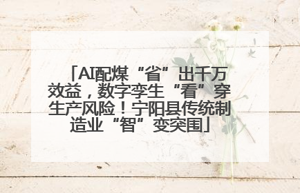 AI配煤“省”出千万效益，数字孪生“看”穿生产风险！宁阳县传统制造业“智”变突围
