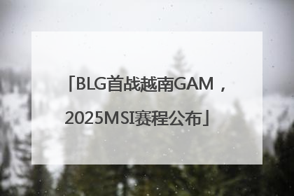 BLG首战越南GAM，2025MSI赛程公布